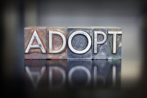 about adoption